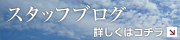 スタッフブログ